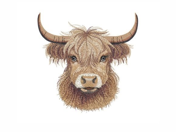 Cute Highland Cow: A Designer's Real-World Review