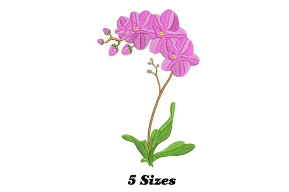 Reviewing Lovely Orchid Flower for Boutique Sweatshirts